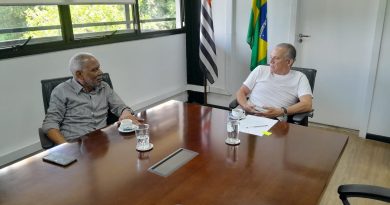 Presidente da Força SP reúne-se com Secretário Estadual de Desenvolvimento Econômico